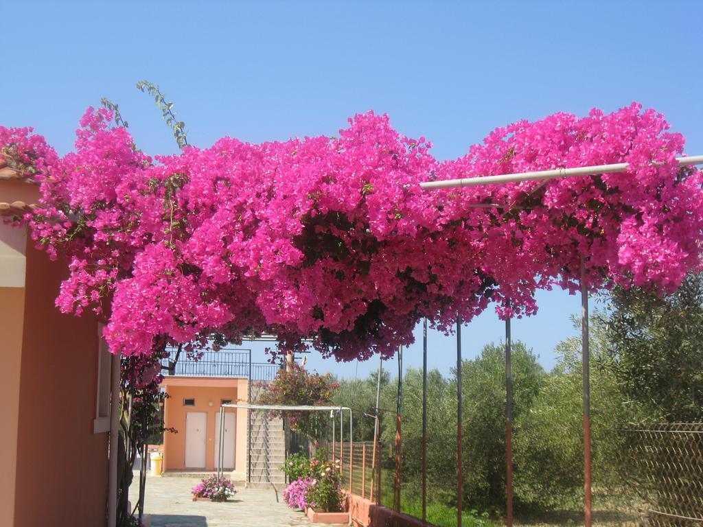 Paradise Studios Svoronata Exterior foto